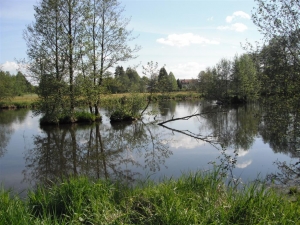 Ursprünglich und einladend: die Schwarzach bei Kröblitz (Neunburg)
