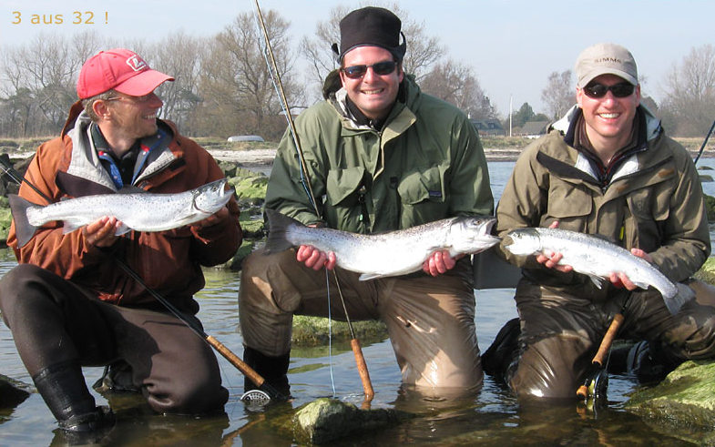 Drei Angler mit Meerforellen